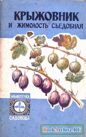 диета рис кефир